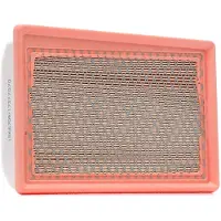 RIDEX 8A1660 Luchtfilter