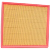 RIDEX 8A0704P Luchtfilter