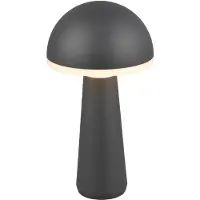 RL LIVE YOUR LIGHT REALITY FUNGO - Tafellamp - Antraciet - incl. 1x SMD 2W - Aanpasbare lichtkleur - Traploos dimmbaar - Oplaadbaar - Snoerloos - Buitenverlichting - IP54