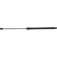 RIDEX 219G0209 Gasveer achterklep