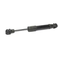 RIDEX 219G0375 Gasveer achterklep
