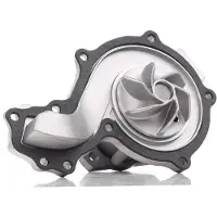 RIDEX 1260W0521 Waterpomp