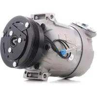 RIDEX 447K0396 Aircopomp