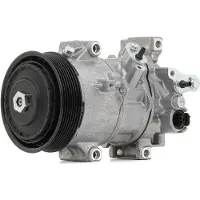 RIDEX 447K0504 Aircopomp