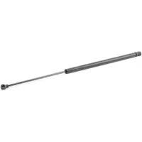 RIDEX 219G0622 Gasveer achterklep
