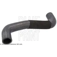 Blue Print ADBP930016 Radiateurslang