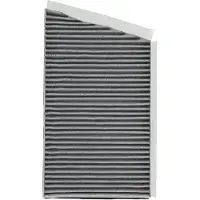 RIDEX 424I0529P Interieurfilter