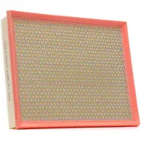 RIDEX 8A0093P Luchtfilter