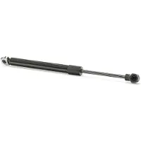 RIDEX 219G0216 Gasveer achterklep