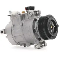 RIDEX 447K0300 Aircopomp