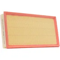 RIDEX 8A0998P Luchtfilter