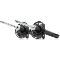 RIDEX 854S1068P Schokdemper