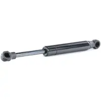 RIDEX 219G0636 Gasveer achterklep