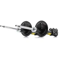 RIDEX 854S2209P Schokdemper
