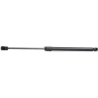 RIDEX 219G0056 Gasveer achterklep