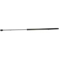 RIDEX 219G0353 Gasveer achterklep