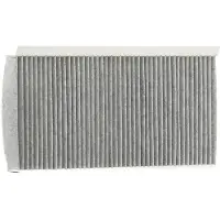 Delphi TSP0325296C Interieurfilter