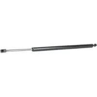 RIDEX 219G0940 Gasveer achterklep