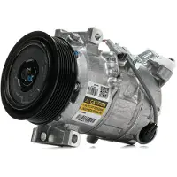 RIDEX 447K0256R Aircopomp