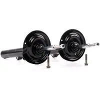 RIDEX 854S2079 Schokdemper