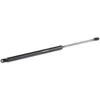 RIDEX 219G0682 Gasveer achterklep