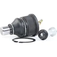 RIDEX 2462S0026 Fuseekogel