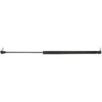 RIDEX 219G0706 Gasveer achterklep