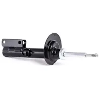 RIDEX 854S0289 Schokdemper