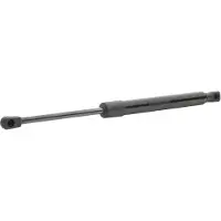 RIDEX 219G0434 Gasveer achterklep