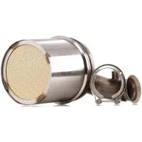 RIDEX 1256S0138 Roetfilter (DPF)