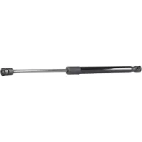 RIDEX 219G0855 Gasveer achterklep