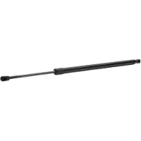 RIDEX 219G1162 Gasveer achterklep