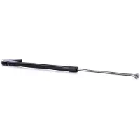 RIDEX 219G0585 Gasveer achterklep