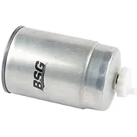 BSG 70-130-003 Brandstoffilter