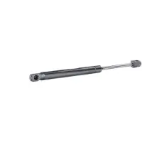 RIDEX 219G0922 Gasveer achterklep