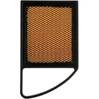 RIDEX 8A0172P Luchtfilter