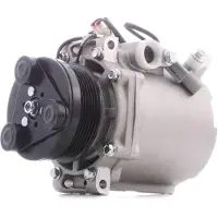 RIDEX 447K0125 Aircopomp