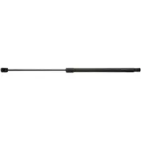 RIDEX 219G0455 Gasveer achterklep