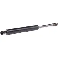 RIDEX 219G0502 Gasveer achterklep