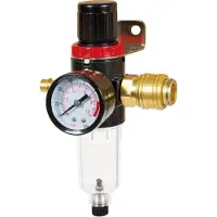 Einhell Filter + Drukregelaar R 1/4" Buitendraad