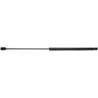 RIDEX 219G0306 Gasveer achterklep