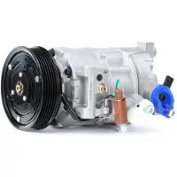 RIDEX 447K0310 Aircopomp