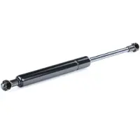 RIDEX 219G0252 Gasveer achterklep