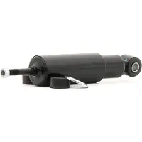 RIDEX 854S18125 Schokdemper