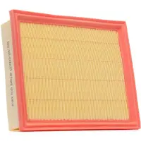 RIDEX 8A0018P Luchtfilter