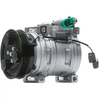 RIDEX 447K0487 Aircopomp