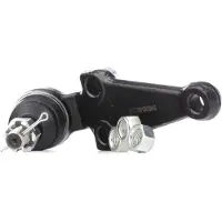 RIDEX 2462S0202 Fuseekogel