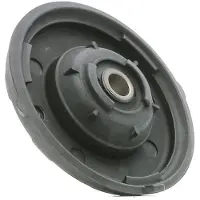 RIDEX 1180S0437 Veerpootlager