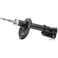 RIDEX 854S0339 Schokdemper