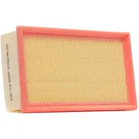 RIDEX 8A0092P Luchtfilter
